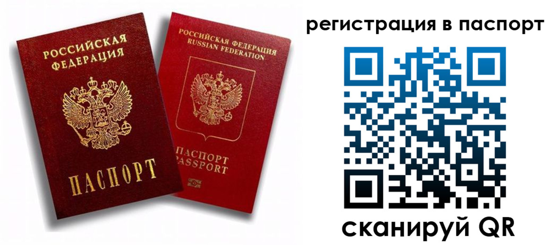 прописка 2025 в Кашине