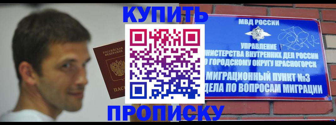 временная регистрация 2025 в Кашине