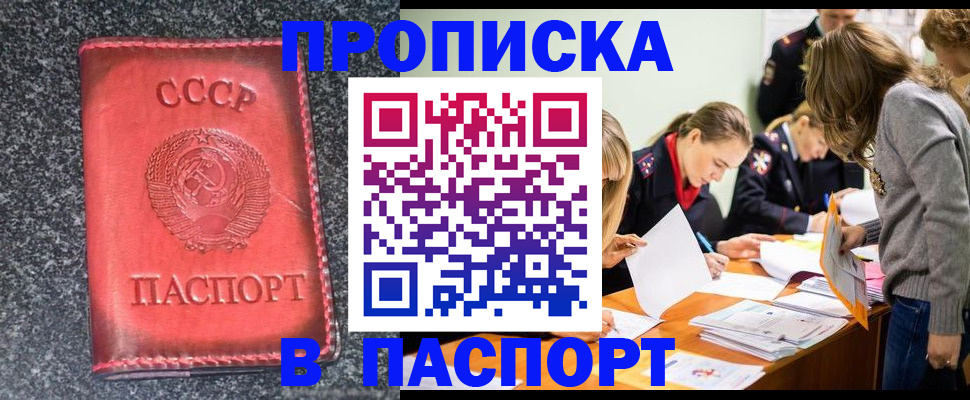 прописка для школы в Кашине